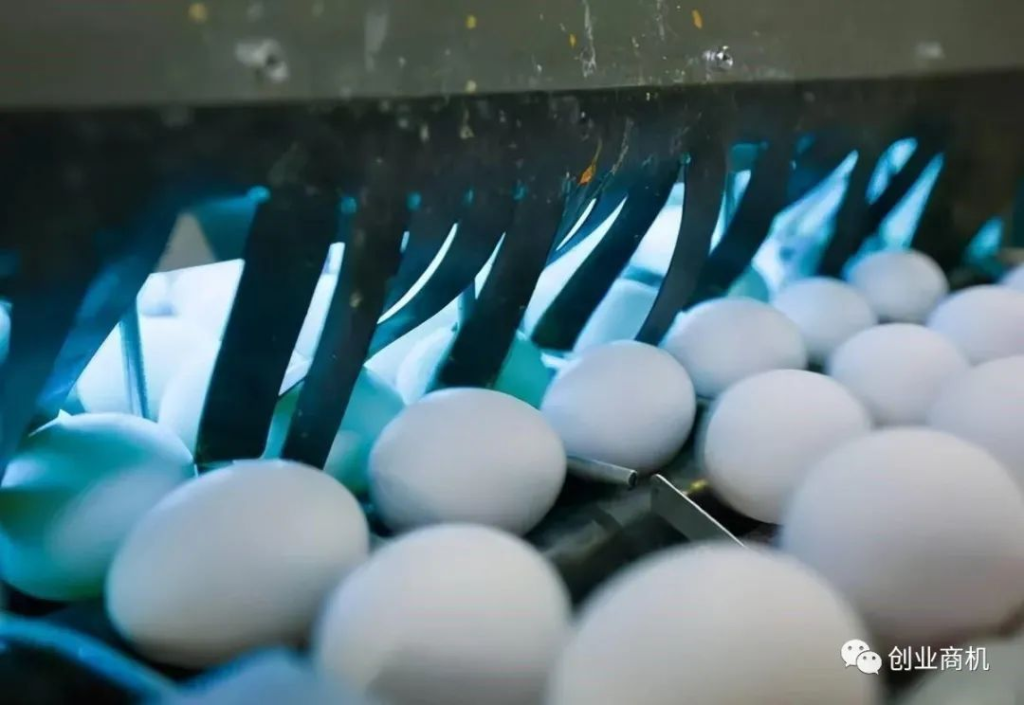 日本一家公司只卖鸡蛋,1年挣2亿元